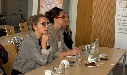 2026-03-09_ladmanova_male.jpeg 2026-03-09_ladmanova_male.jpeg